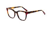 Comma 70215 / havana