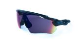 Oakley Radar EV Path OO9208 / šedá
