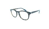 Ralph Lauren 2267 / havana