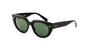 Ray Ban 2286 / černá