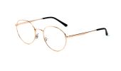 Ray Ban 3681V / rosegold