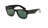 Ray Ban 4840S / černá