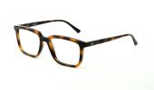 Ray Ban 7239 / hnědá žíhaná