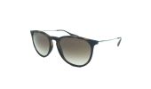 Ray Ban Erika 4171 54 / havana