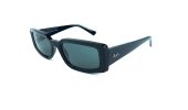 Ray Ban Kiliane 4395 / černá