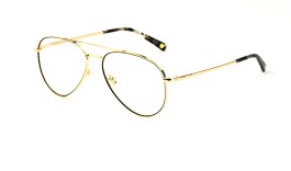 Nedioptrické brýle Polar Gold 2008