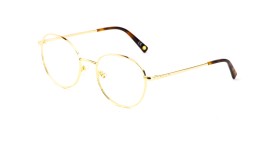 Nedioptrické brýle Polar Gold 2001